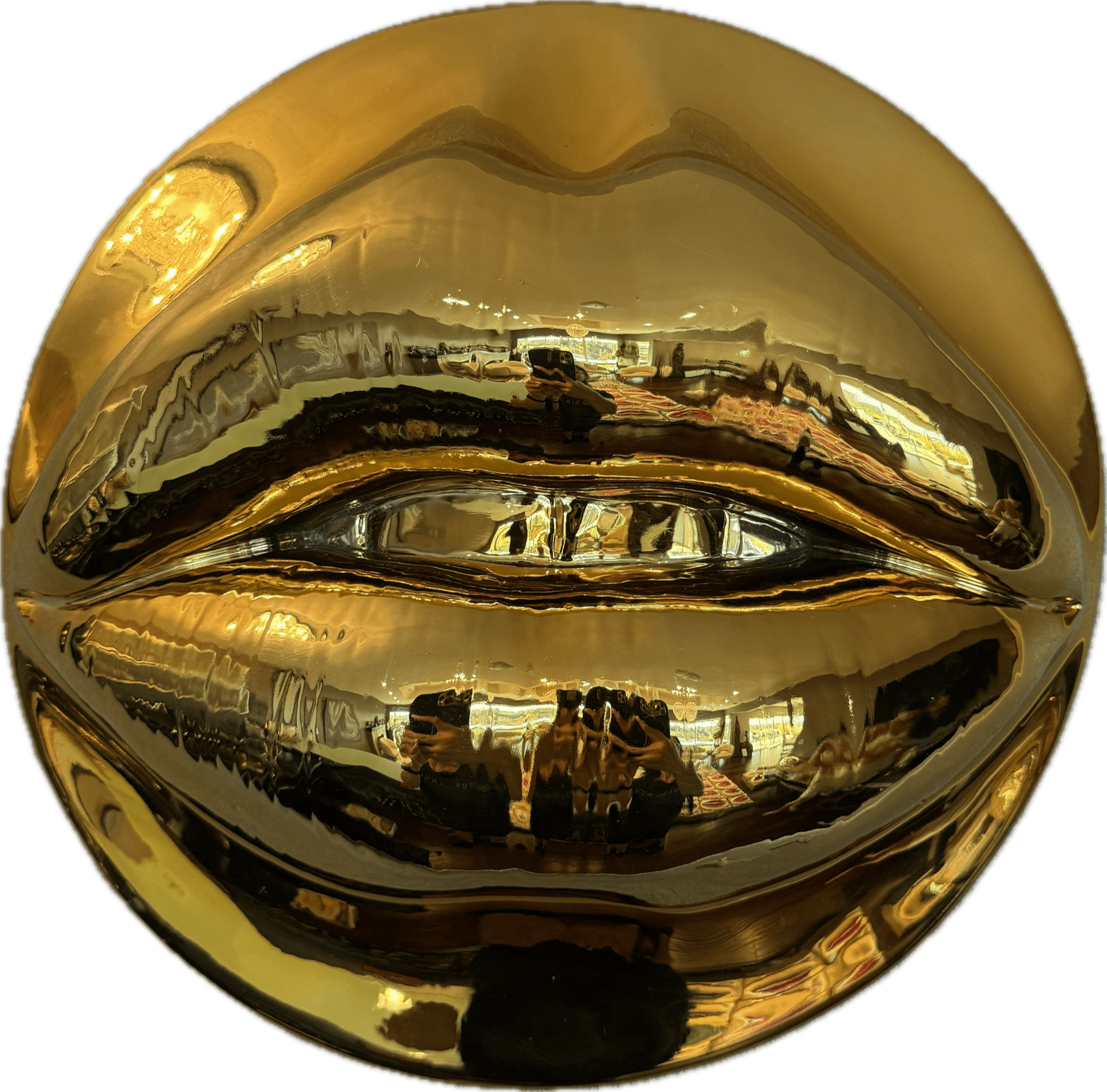 Farnaz Harouni — Gold Chrome
