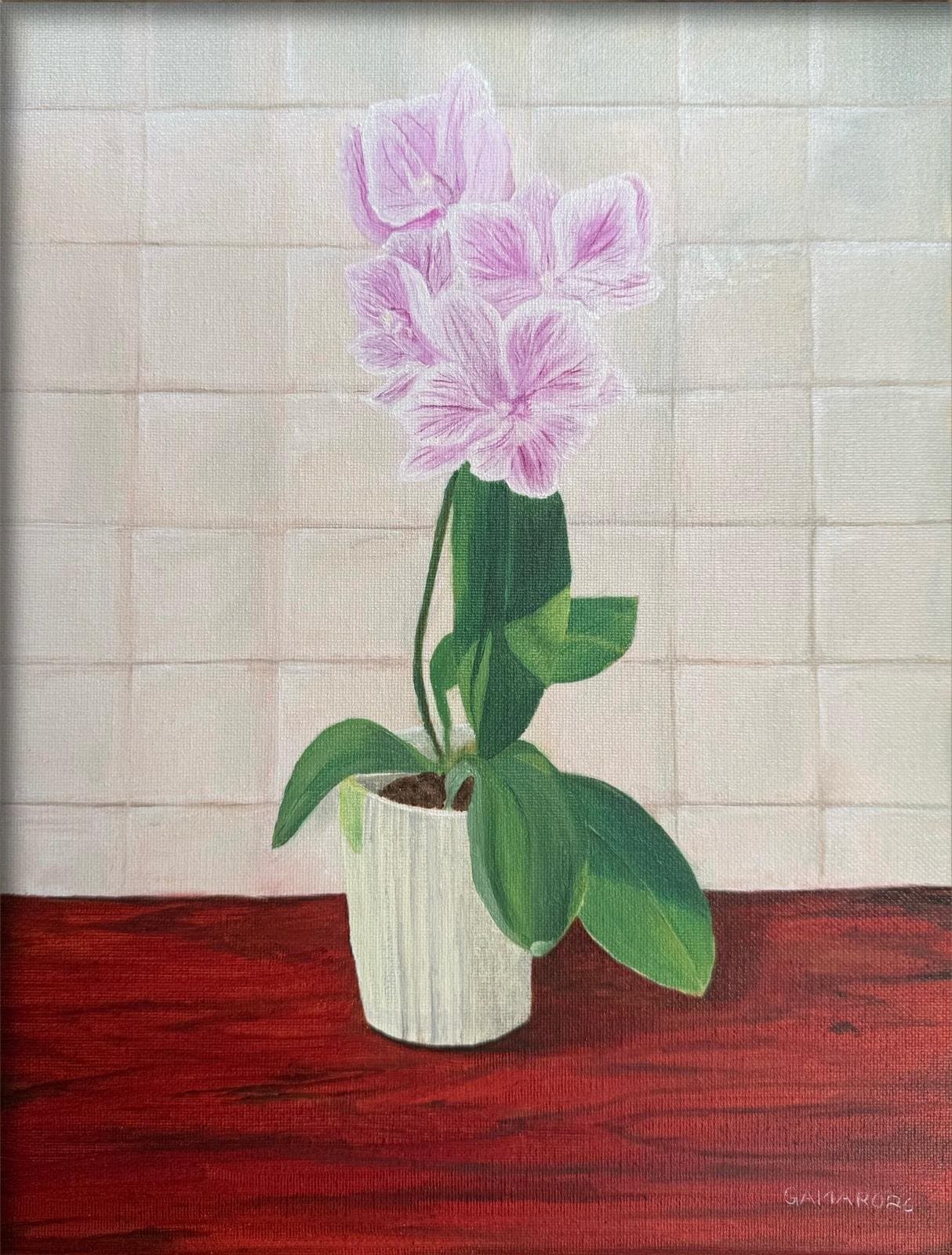 Orquidea — view 1