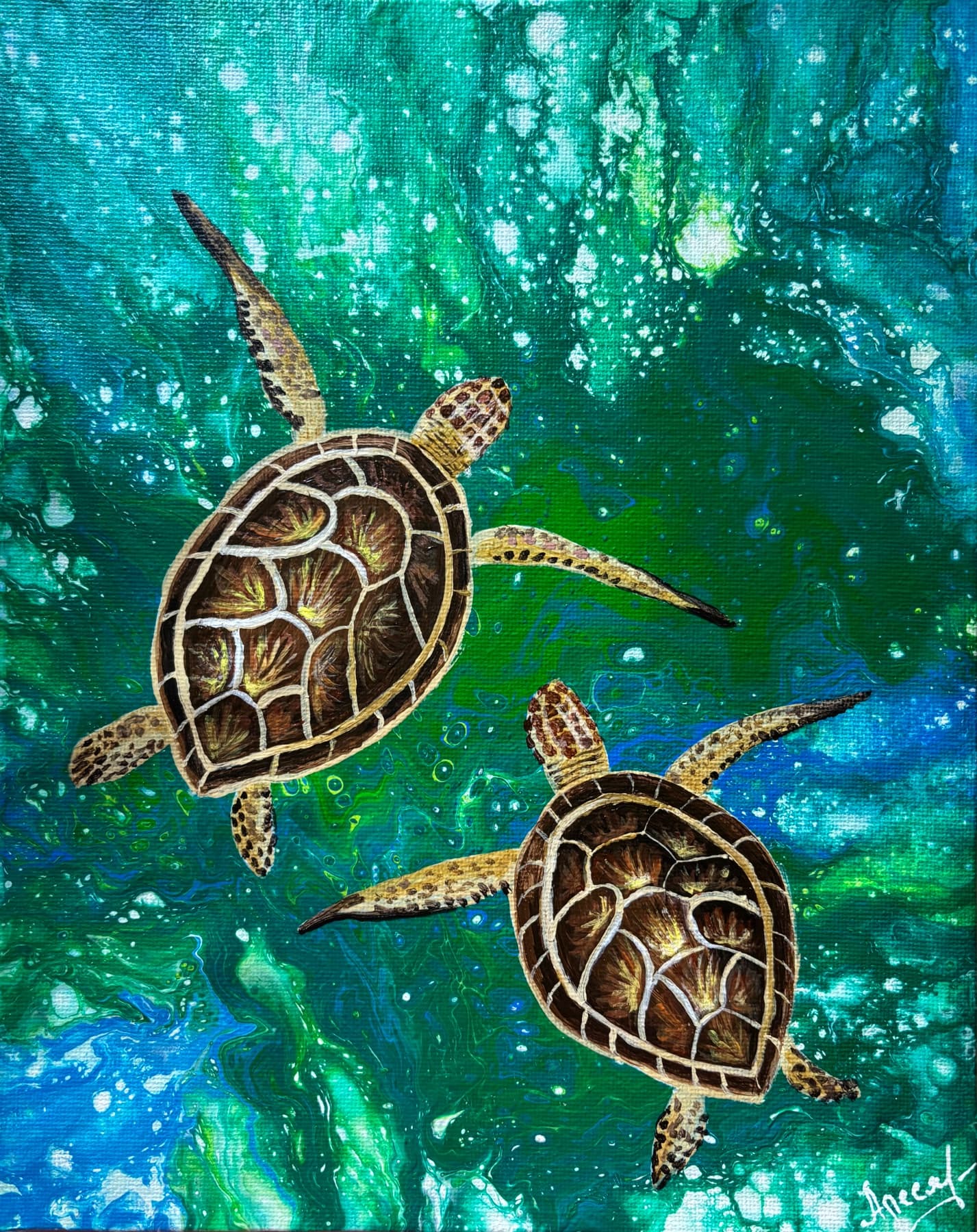 Sea Turtles — view 2