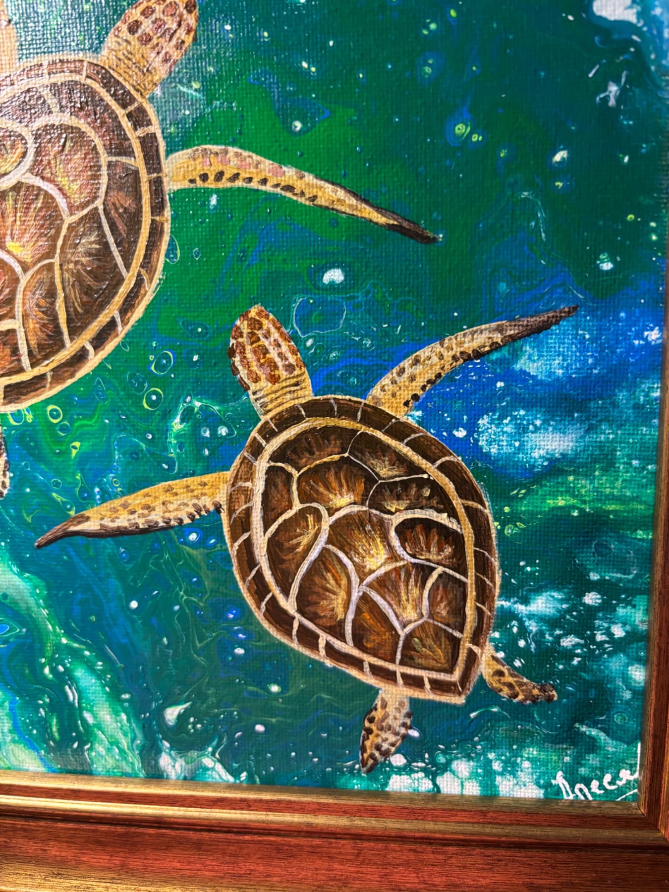 Sea Turtles — view 3