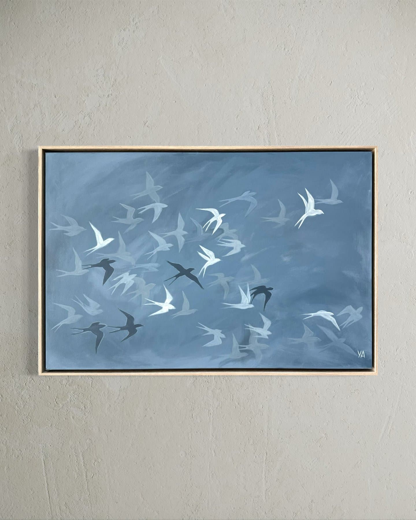 Barn Swallows — view 1
