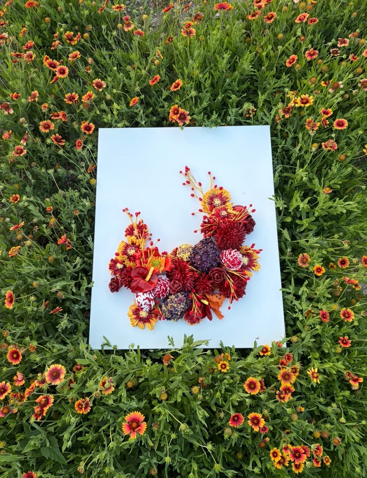 Daffodil, lunar, and fruitsalad — view 2