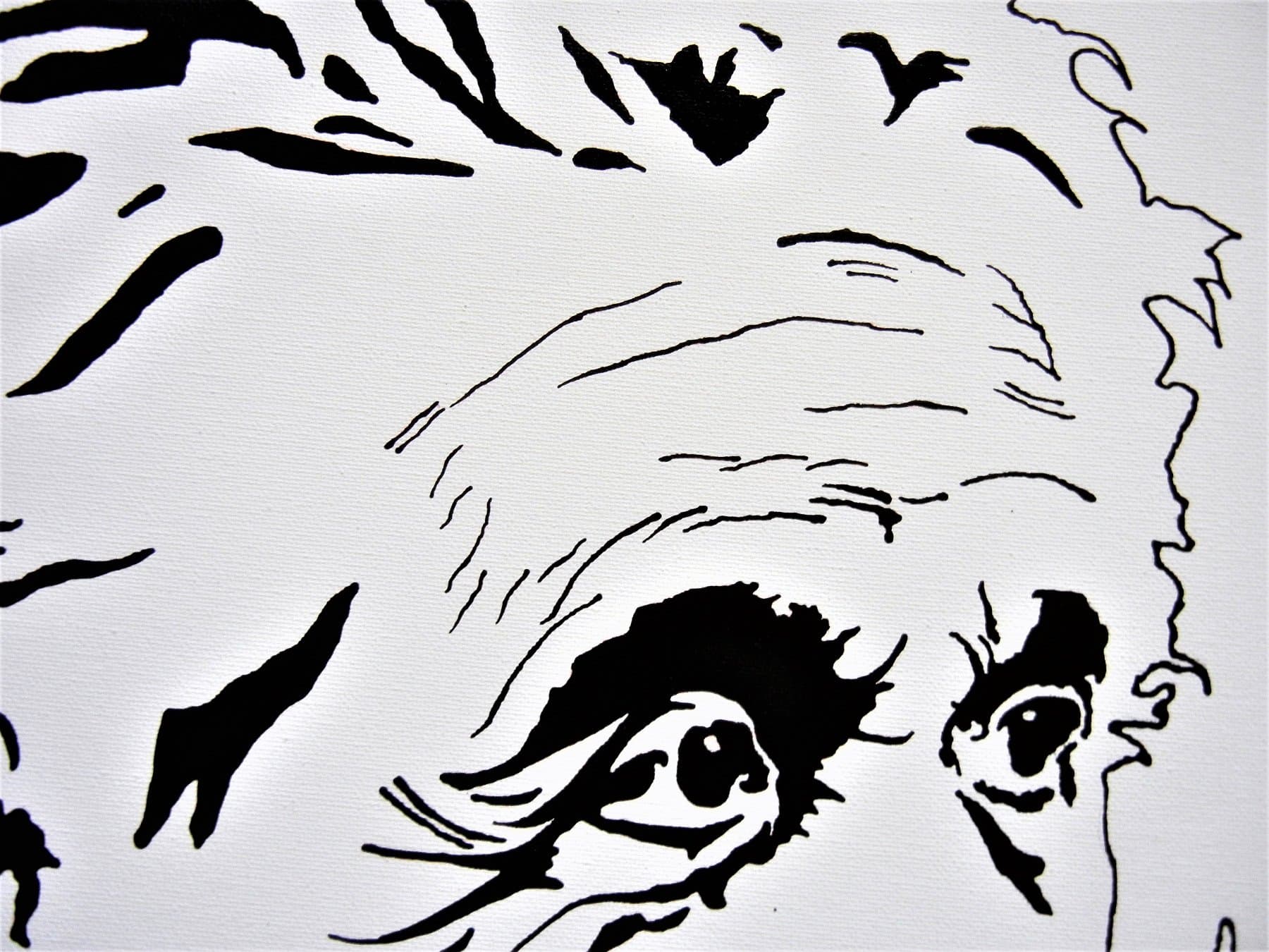 Albert Einsteine — view 2