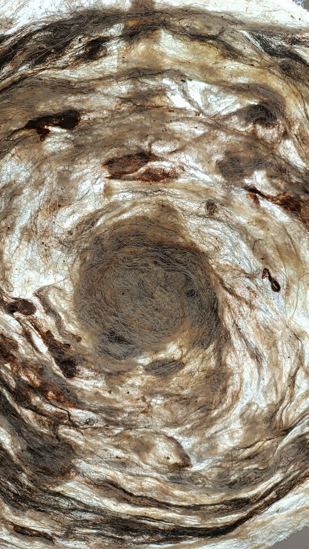 Inner Rings I — view 3