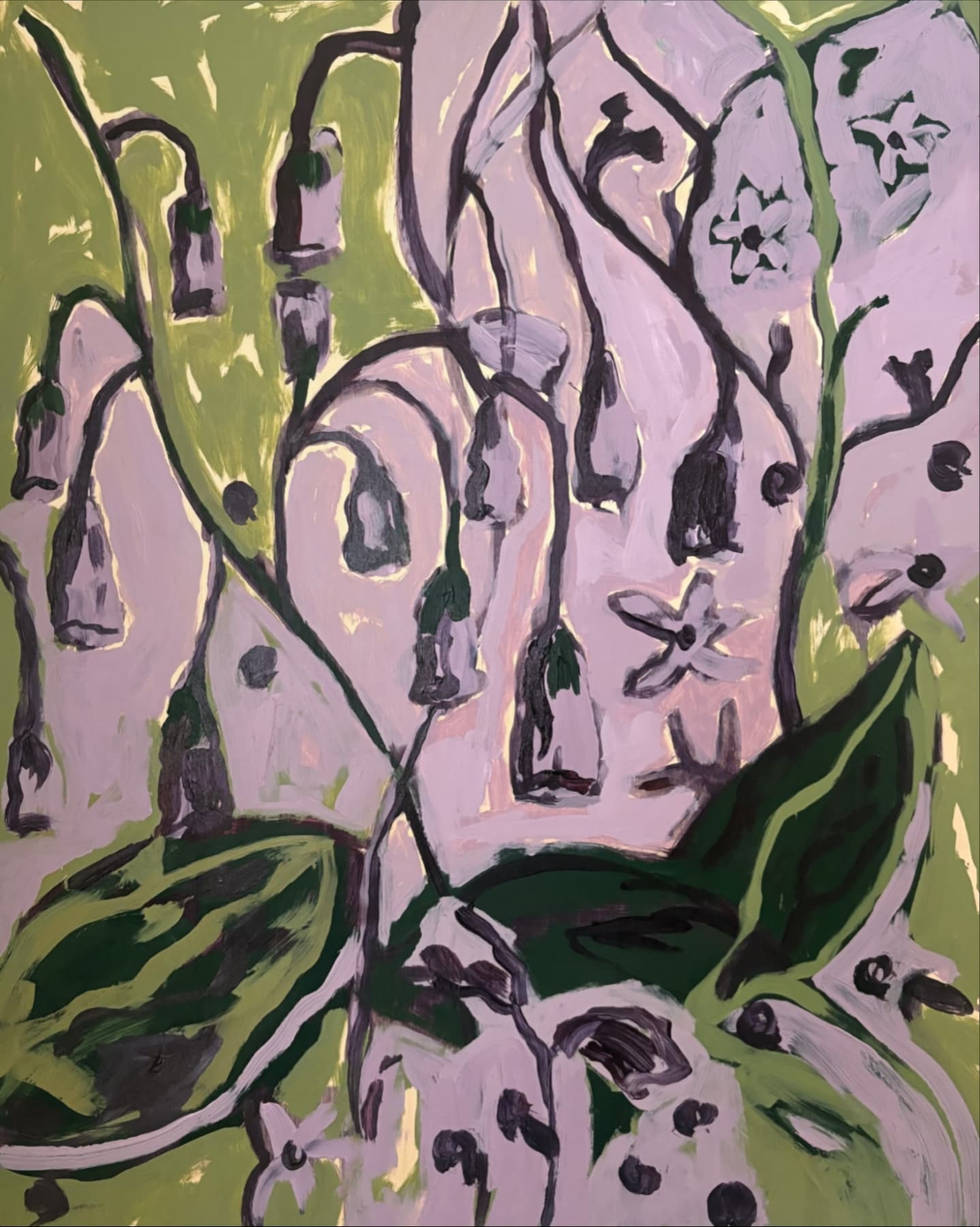 Belladonna — view 1