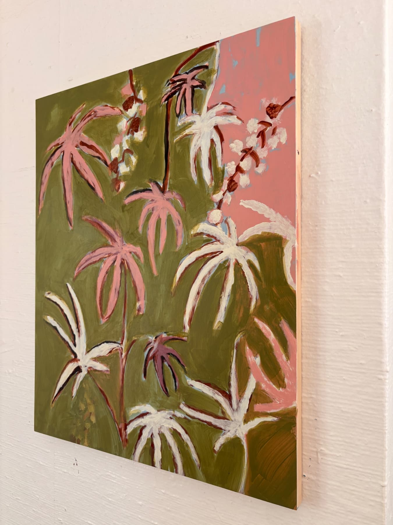 Cannabis — view 2