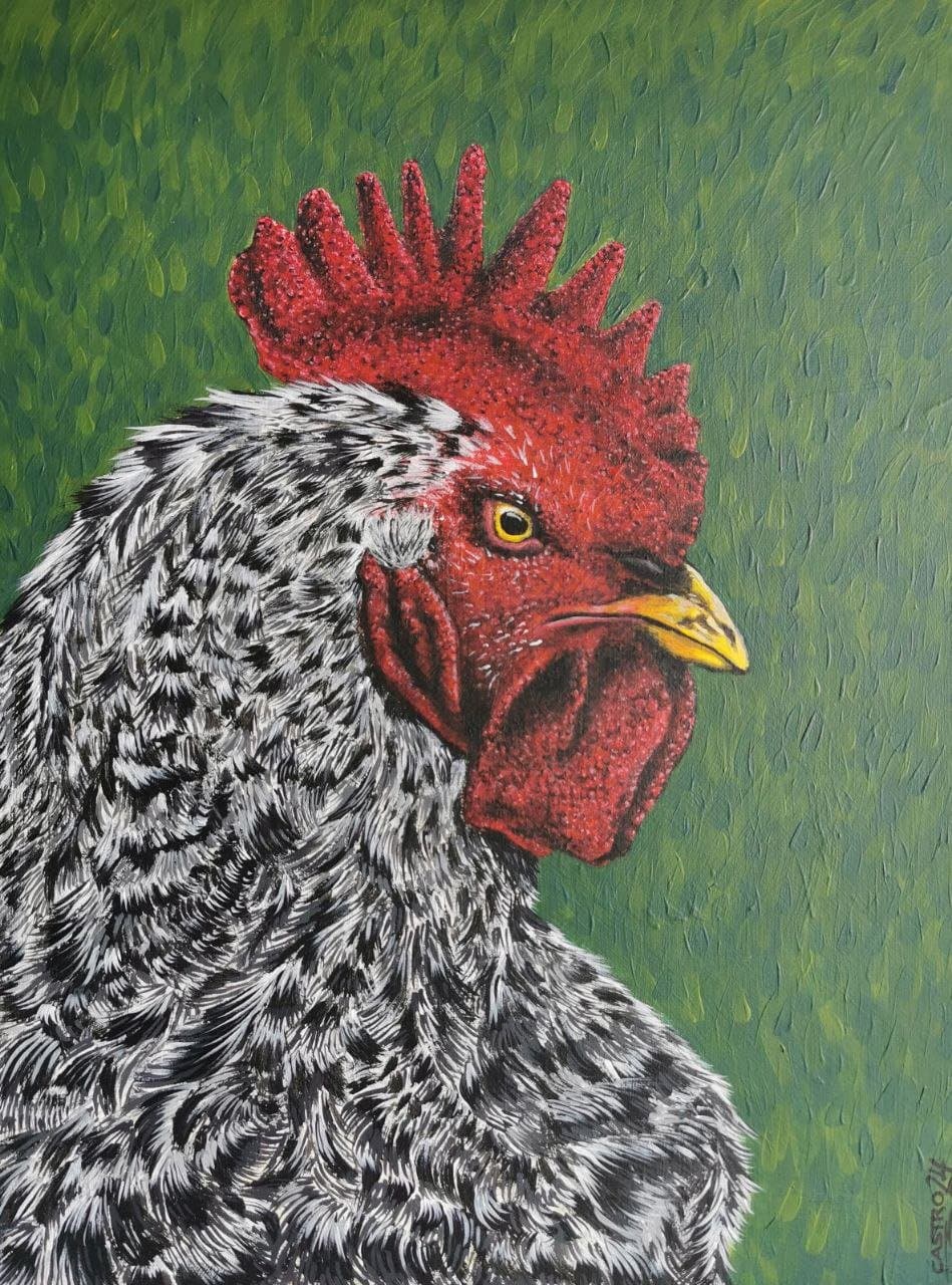 Rooster portrait — view 1