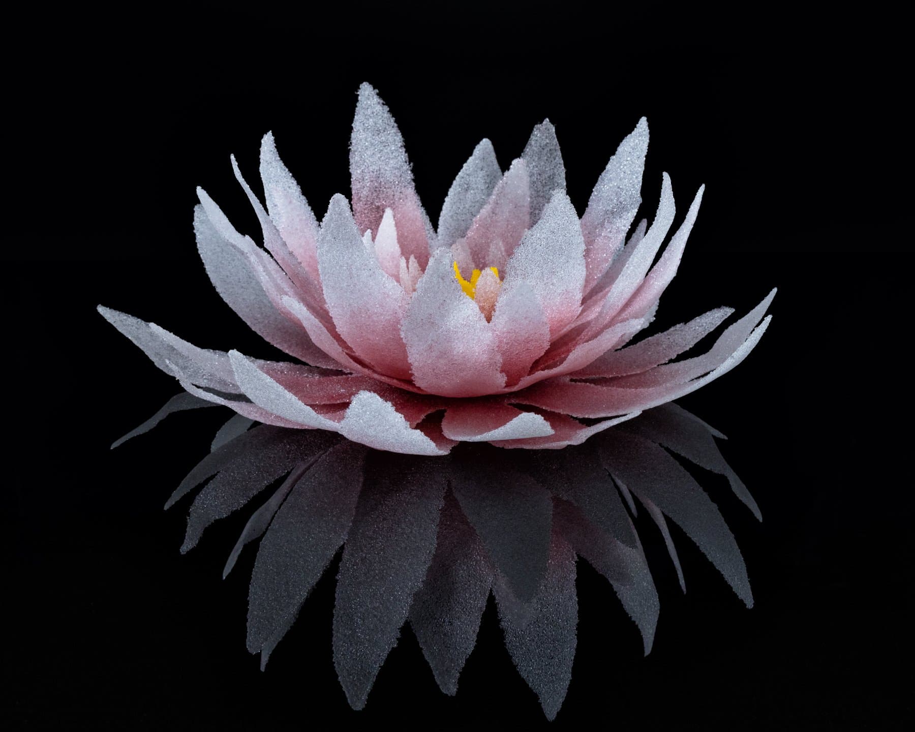 Ruby Lotus — view 3