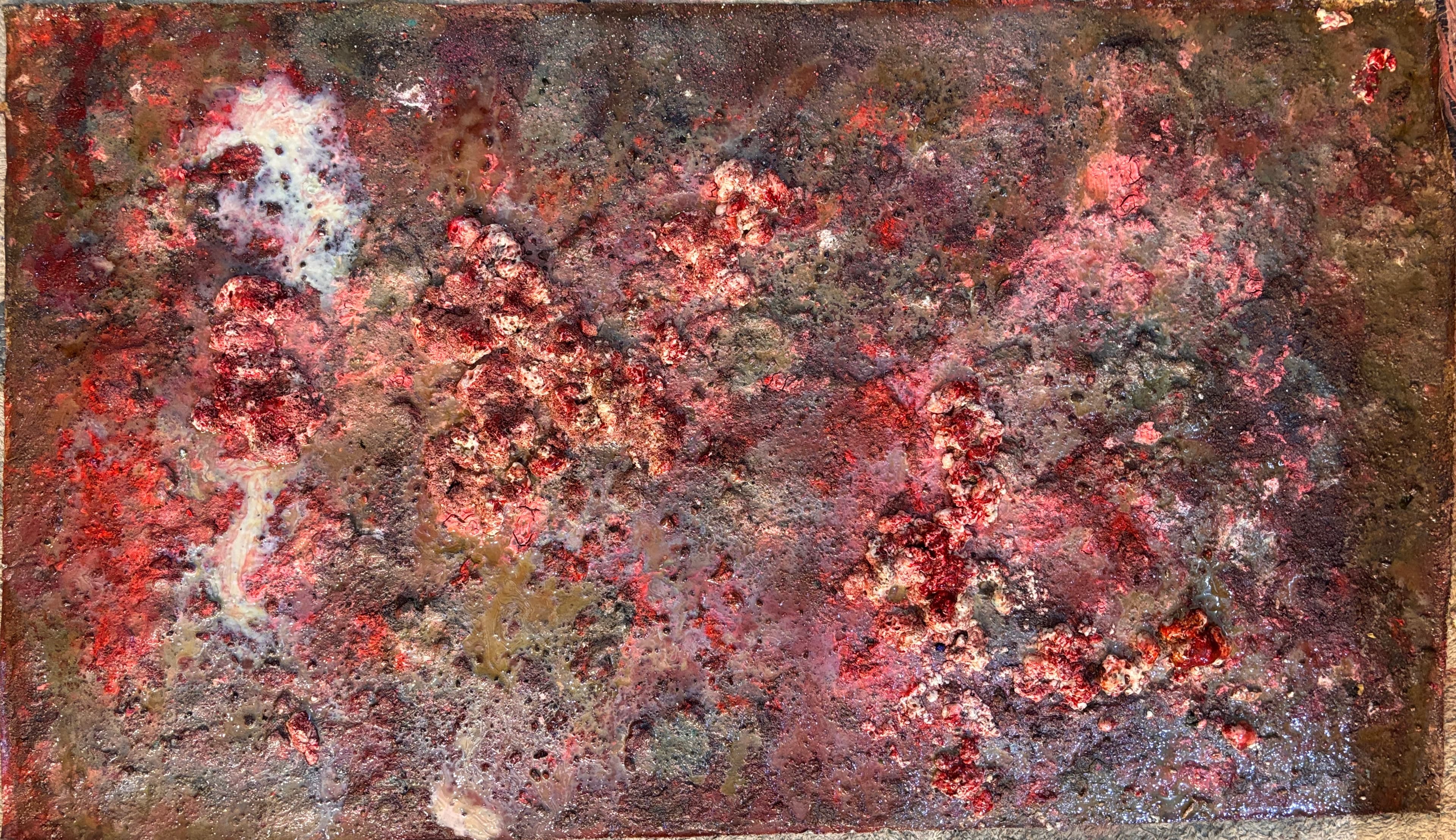 Red Tide
