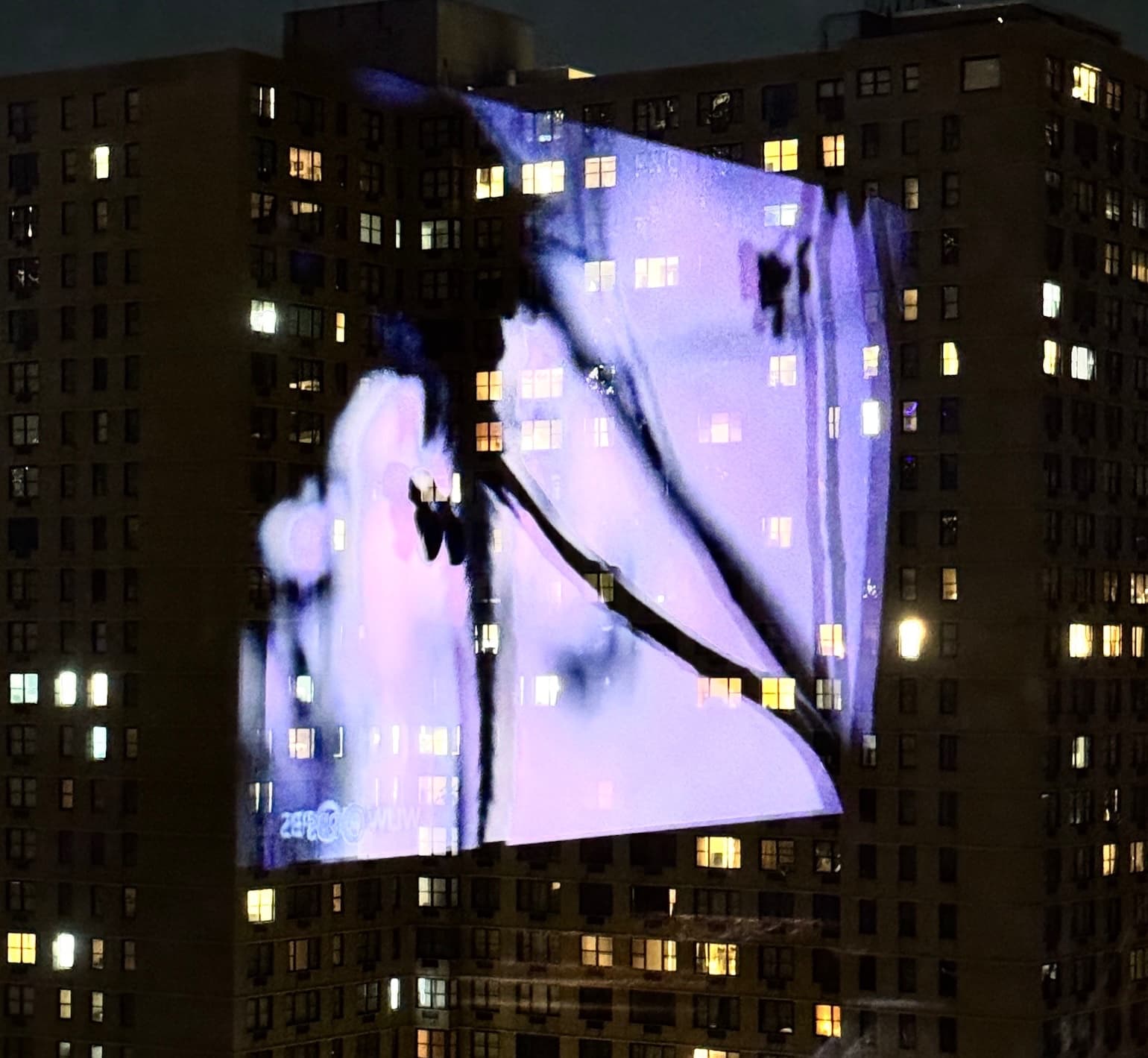 Purple Fancy — view 1
