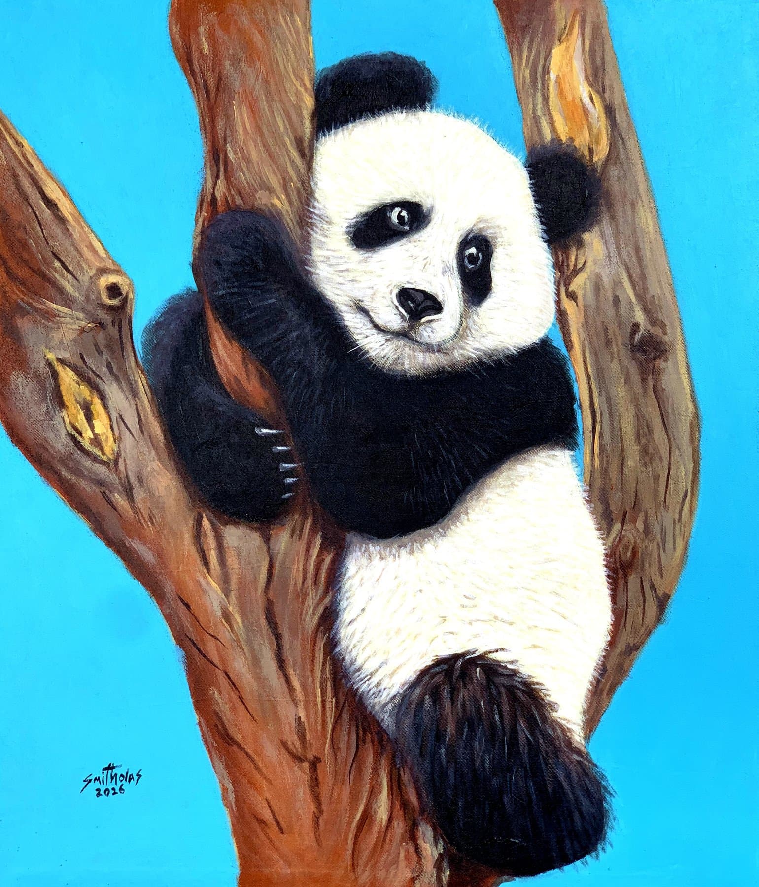 Panda Resting On Branch — view 1