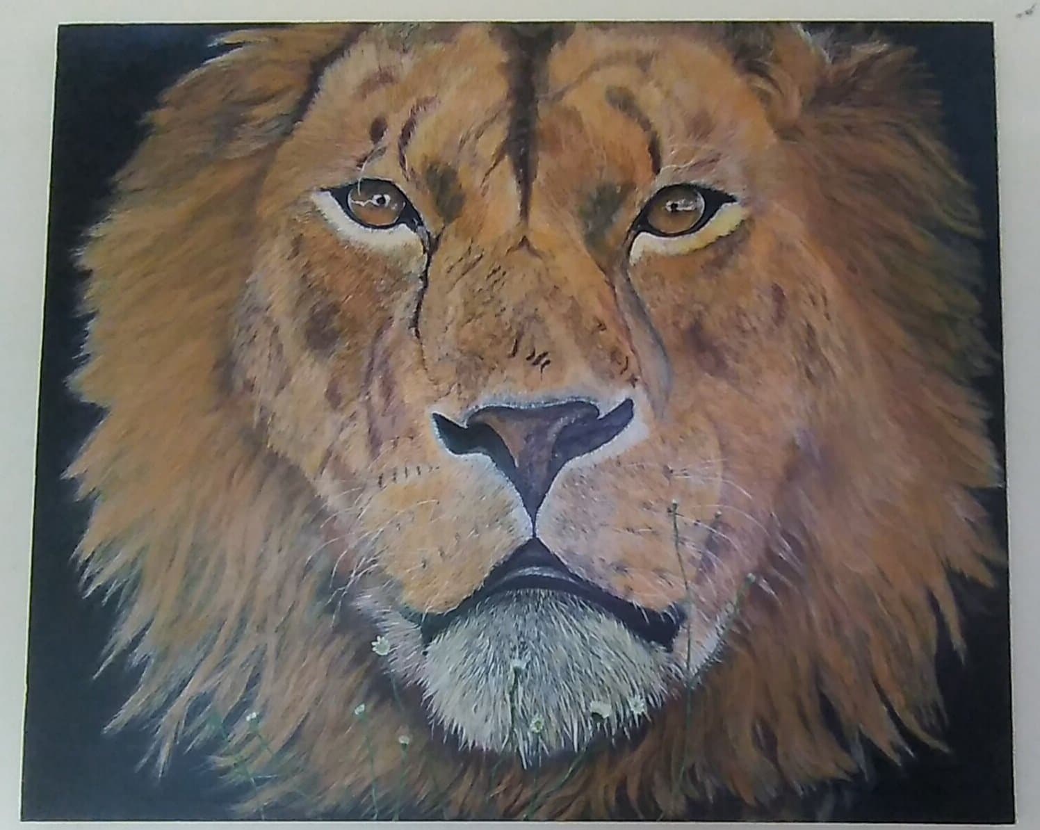 The Gentle King — view 1
