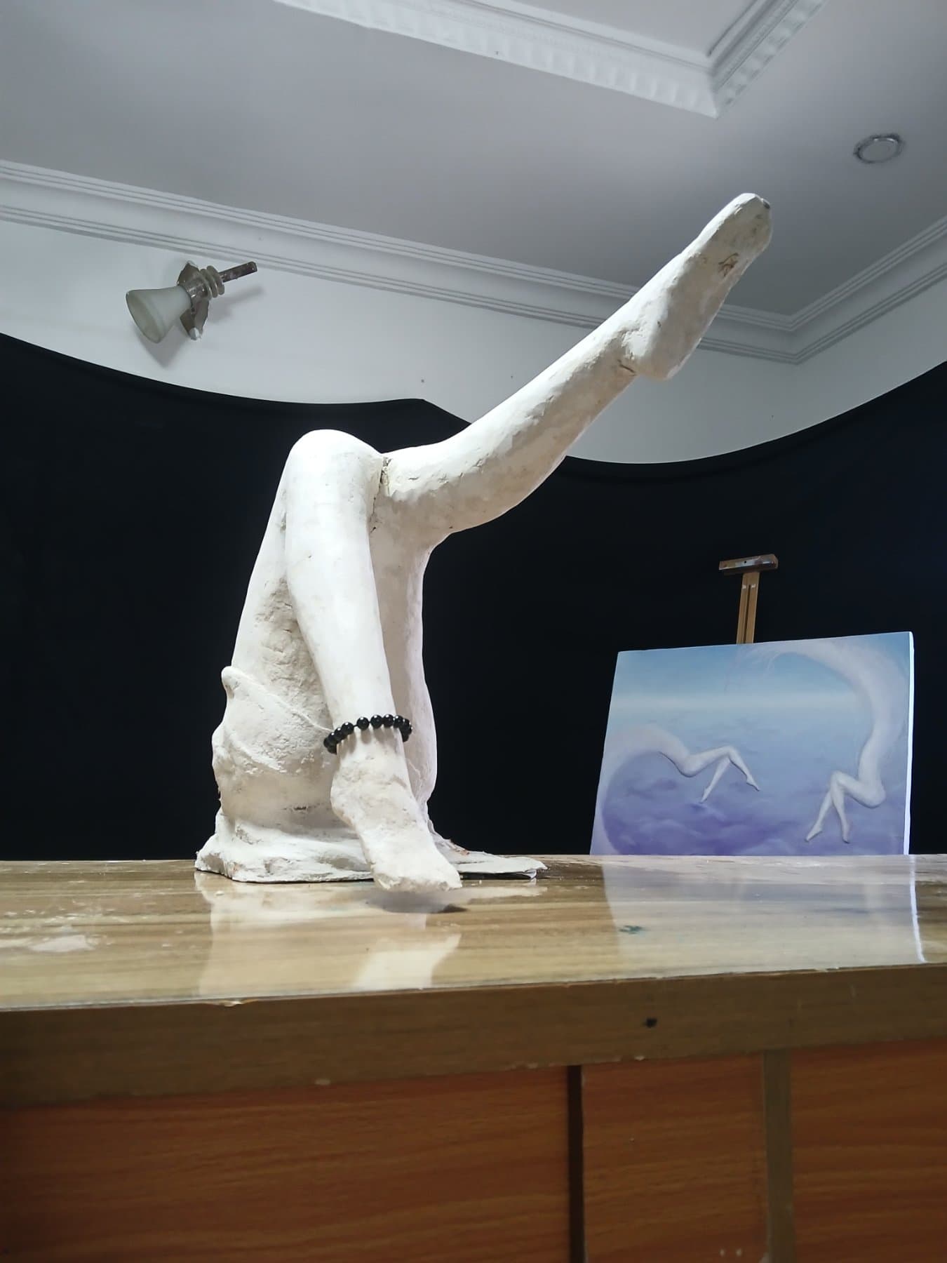 Flight without wings — view 3