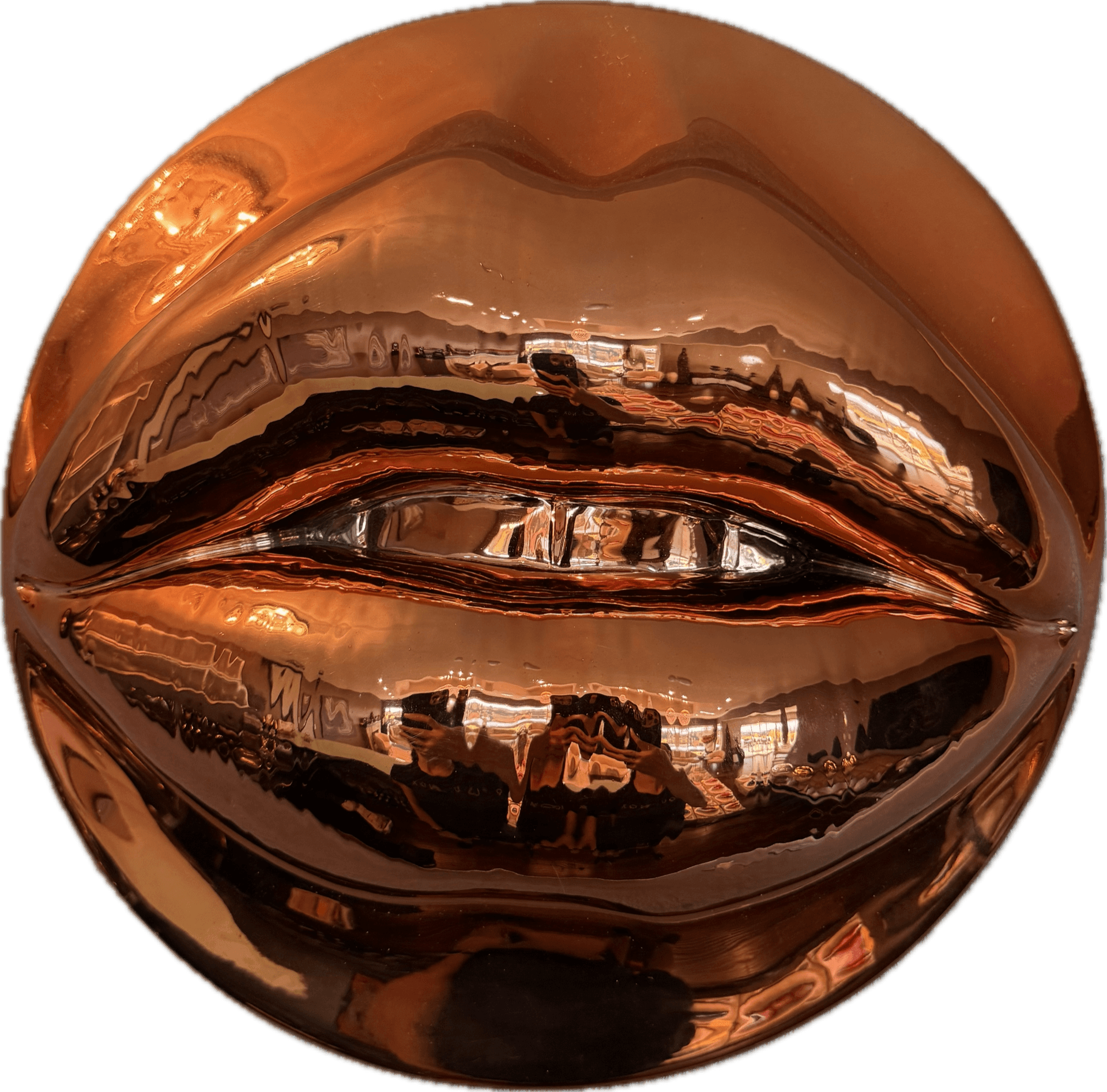 Farnaz Harouni — Rose Gold Chrome